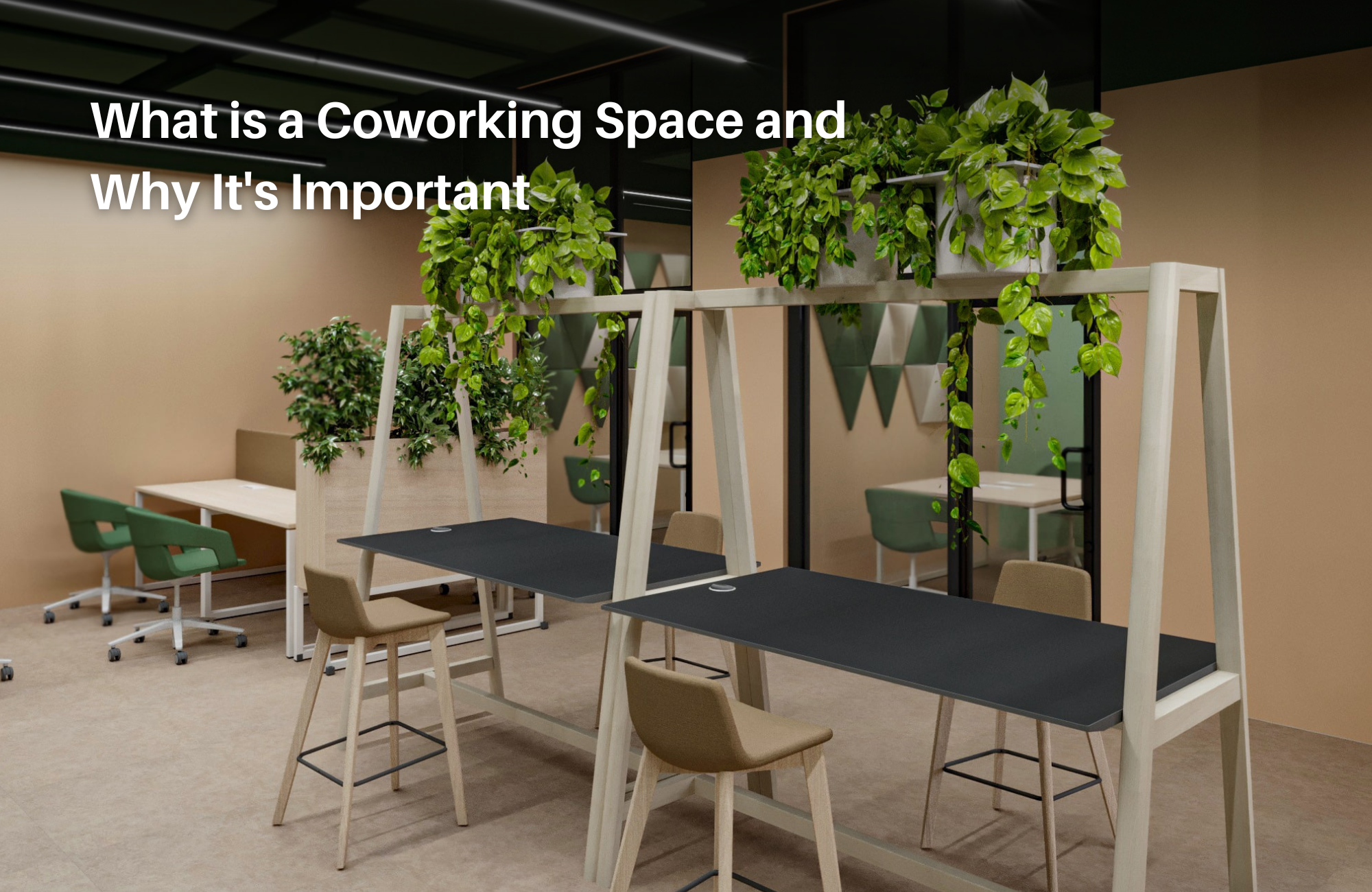 What is a Coworking Space and Why It's Important