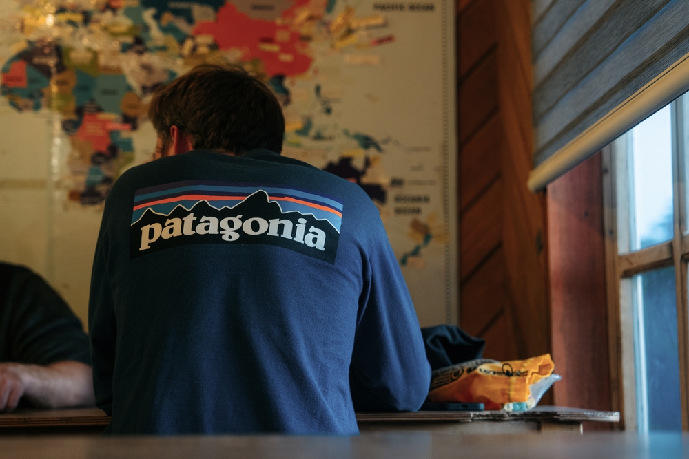 Person wearing Patagonia shirt indoors.
